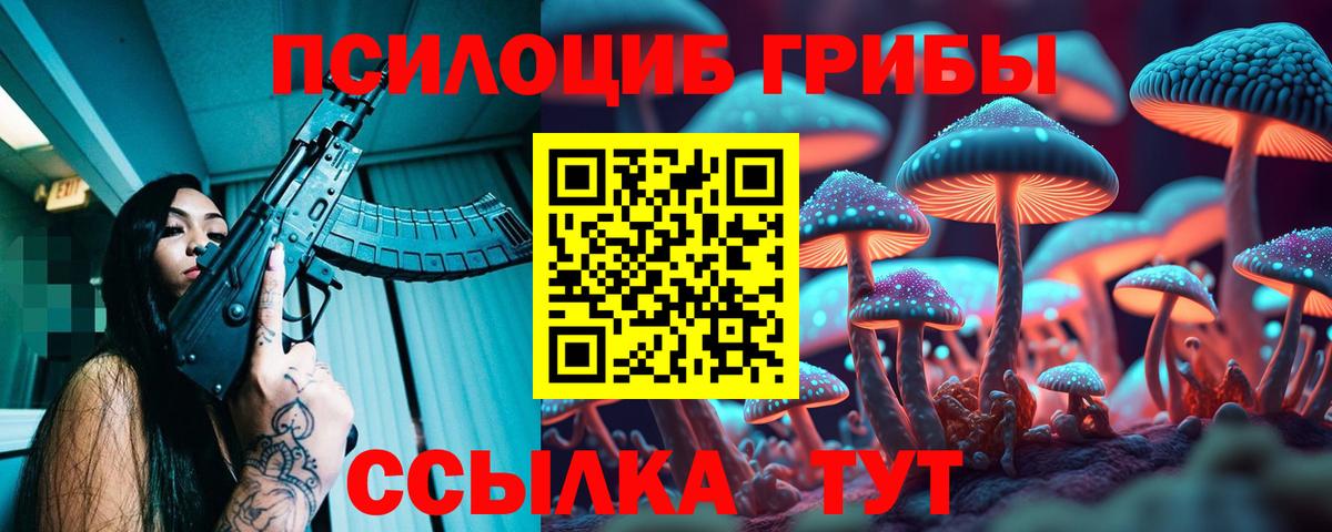 Торжок  Псилоцибиновые грибы Psilocybine cubensis  Вход с VPN  Галлюциногенные грибы прущие грибы 