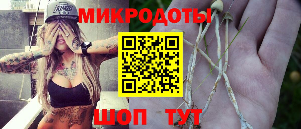 Галлюциногенные грибы Cubensis Торжок